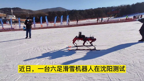 中国六足机器狗南极测试成功：科考新伙伴的崛起