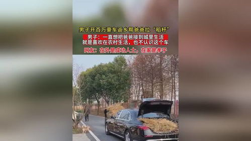 男子开百万豪华房车回乡，还载着一匹马、一条狗、一辆摩托车