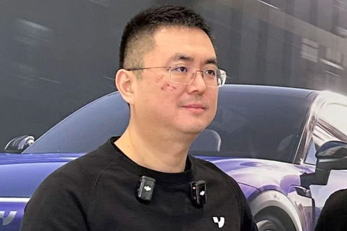 极越汽车 CEO 夏一平被限制高消费：背后的故事与反思