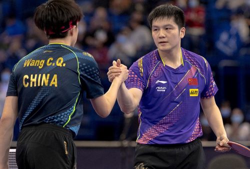 樊振东获2025世乒赛决赛参赛资格：梦想与挑战并行