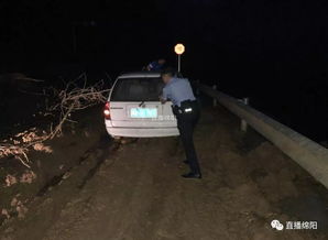 夜遇“遛弯”大熊猫：北川村民的意外邂逅