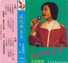 聆听王菲《世界赠予我的》：一场心灵的温柔对话