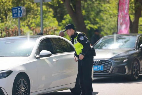 谁车上还没有个过年搭子？