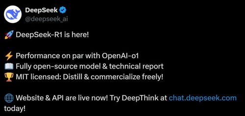 起底DeepSeek：中国AI新星如何闪耀全球