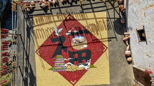 晒秋大妈的新年祝福：从抖音到心灵的温暖传递