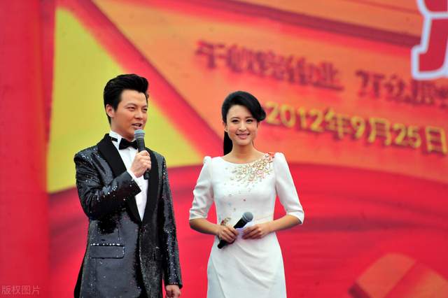 杜海涛、刘涛、于洋主持辽视春晚：一场星光璀璨的盛宴