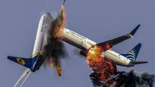 韩国空难背后：花脸鸭与飞机的致命相遇