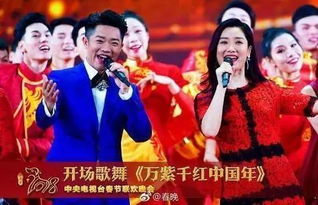 各大卫视春晚直播：一场春节前的视听盛宴