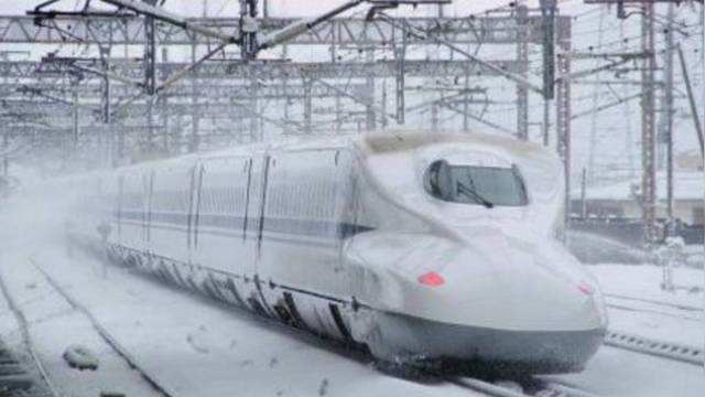 暴雪中的婚礼：高铁上的甜蜜与挑战