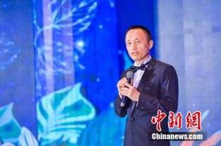 万科高层集体辞任：王石的回应与万科的未来