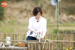 李小冉不语只洗碗：幸福背后的故事