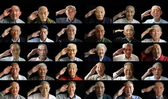 老兵”逐渐远去：英伟达将停止更新 Maxwell、Pascal、Volta 三架构 CUDA 支持