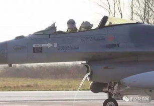 惊魂一刻：济州航空空难背后的花脸鸭之谜