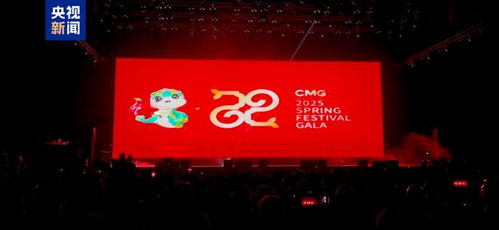 我在阿联酋遇见的总台春晚宣传片