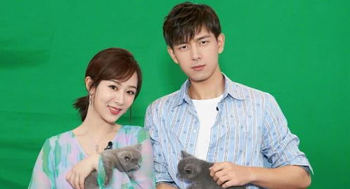 国色芳华与亲爱的热爱的跨时空联动：抖音上的文化狂欢