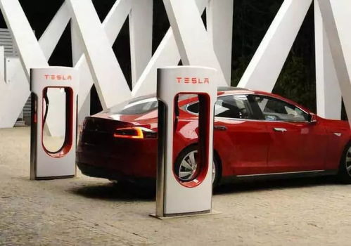 充电站风波：公共充电桩使用现状引发深思