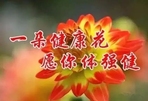 蛇年送你9个美好祝愿