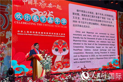 2025年央视春晚：那些令人印象深刻的亮点