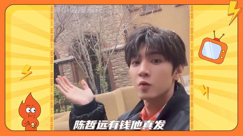 陈哲远的红包传奇：从直播间到粉丝经济