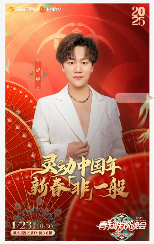 2025卫视春晚：一场视听盛宴的精彩回顾