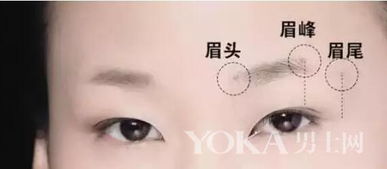 谁给撒贝宁画的眉毛：揭秘春晚舞台背后的美妆奇遇