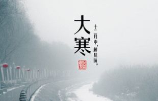 千里奔赴 家是归途