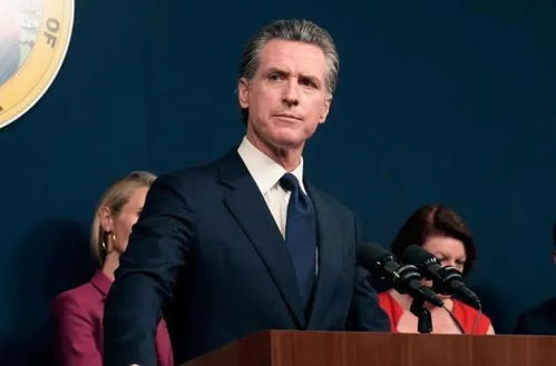 我见证：特朗普与马斯克的非凡合作