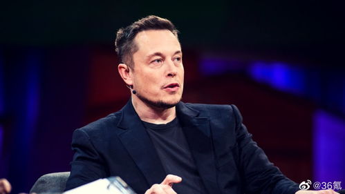 解读马斯克与德国选举：跨越边界的影响力