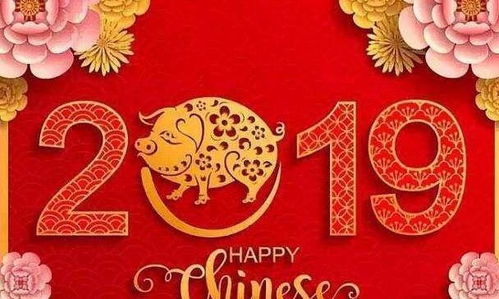 共庆乙巳蛇年新春 感悟中华文化魅力