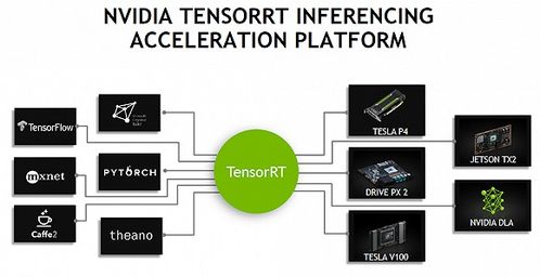 英伟达RTX 5090和5080显卡：一卡难求的现实与挑战