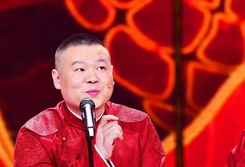 理性讨论岳云鹏春晚表现：从争议到反思