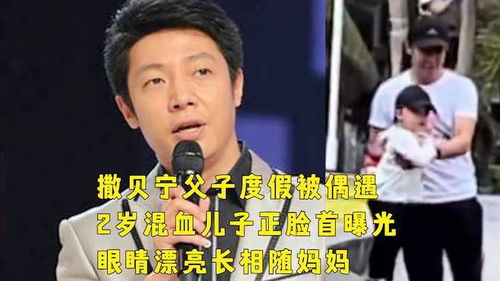 撒贝宁卸妆自证妈生眉：从央视名嘴到综艺男神的多面人生