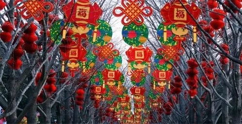 春节期间近4成人群选择出游：我的旅行故事