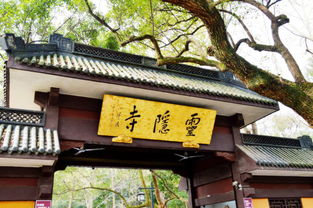 灵隐寺今日盛况空前，执勤民警捡到38张身份证背后