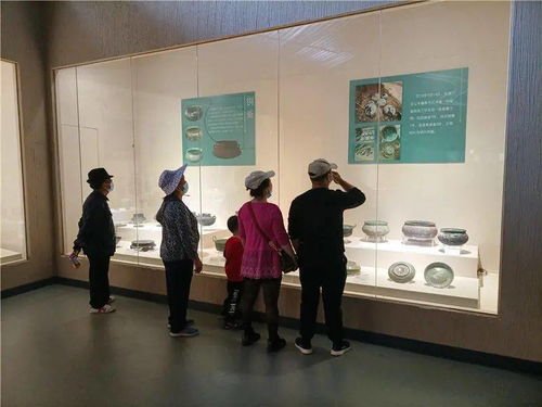 到博物馆过个文化年：与历史对话，感受传统文化的魅力