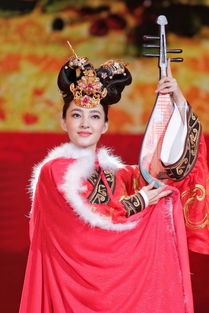 央视春晚四大美女：见证荧屏魅力