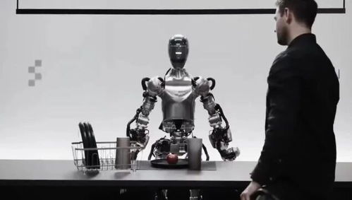 人形机器人扭秧歌、张艺谋导演，2025央视春晚《秧 BOT》节目亮相