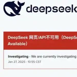 DeepSeek 服务再次宕机：我亲历的波折与希望