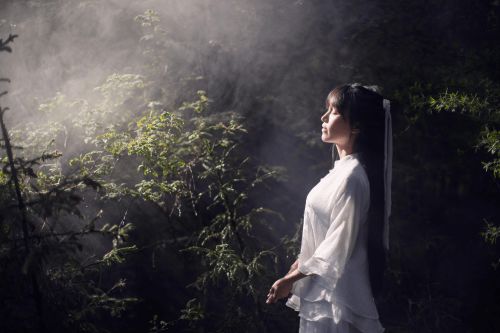 李子柒蝴蝶翅膀暗藏玄机：传统与现代的完美融合