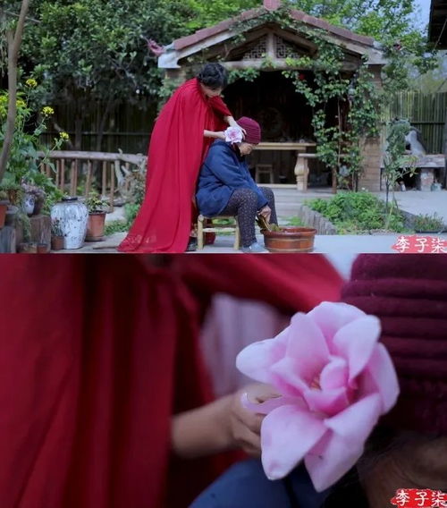 李子柒春晚战袍背后：两天染色的非遗传承