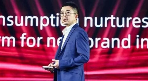 蒋凡上春晚：科技与电商的奇妙碰撞