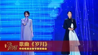 王菲春晚耳环带火虾片同款，商家回应背后