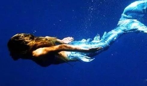 美人鱼表演者的惊魂一刻：水下遭鲟鱼袭击