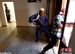 聚焦美国移民政策：特朗普政府的强硬举措与国际反应