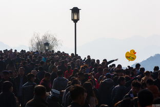 大年初一全国多地景区游客爆满：灵隐寺凌晨人山人海，雍和宫外排长队