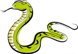 蛇年说蛇，如何向幼儿园小朋友解释蛇的脚去哪了？