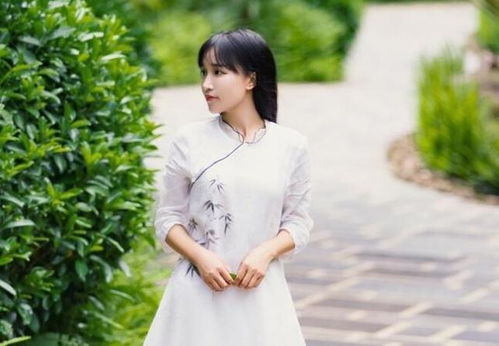 李子柒春晚战袍：传统与现代的完美交融