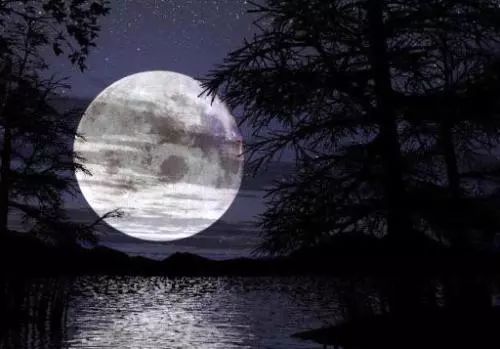 白月光非得是人吗？从抖音热搜看事物的美好与遗憾