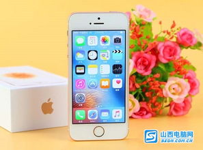 苹果 iPhone SE 4 曝料：6.1 英寸刘海屏、A17 Pro 芯片支持 Apple 智能