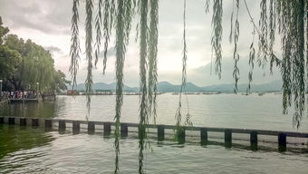 断桥边的守护者：保安大哥一天抱回七八个走失儿童